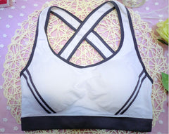 Women's Seamless Padded Athletic Tank Top & Sports Bra